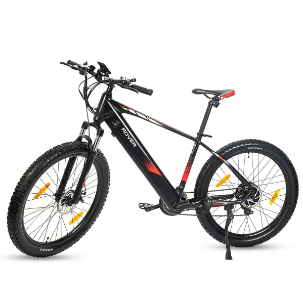 ROVER CLIMBER - Mountain & City e-Bike