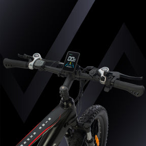 ROVER CLIMBER - Mountain & City e-Bike